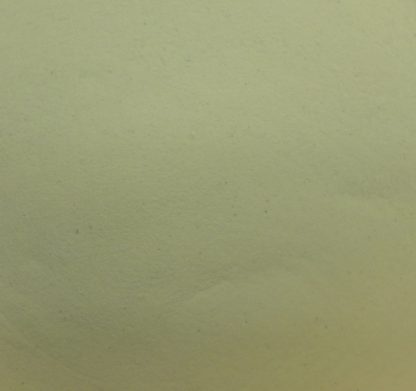 Lycopodium Powder (Light) / Lycopodium Clavatum Spores / Dragons Breath - Image 2